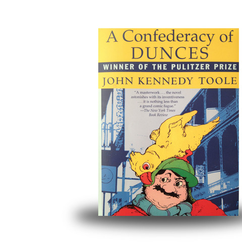 essays on a confederacy of dunces essays on a confederacy of dunces